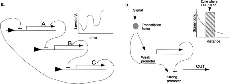 https://cdn.ncbi.nlm.nih.gov/pmc/blobs/3808/5264501/17410d509714/bst0440696fig2.jpg