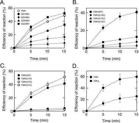 https://cdn.ncbi.nlm.nih.gov/pmc/blobs/380a/1693875/45c3c043042d/gkl629f3.jpg