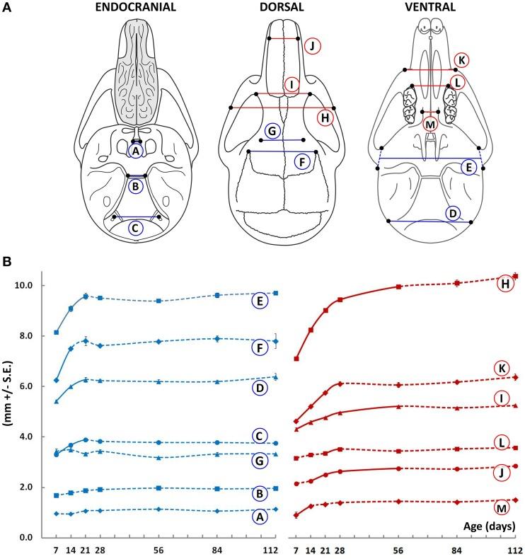 https://cdn.ncbi.nlm.nih.gov/pmc/blobs/380b/4709510/325c96d082be/fphys-06-00417-g0001.jpg