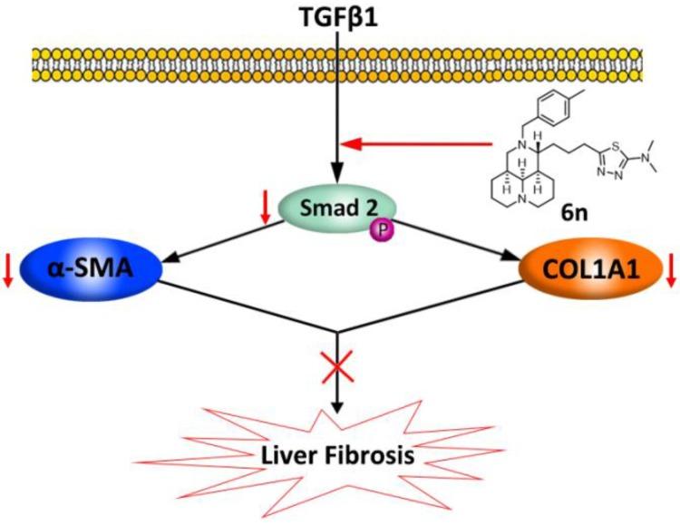 https://cdn.ncbi.nlm.nih.gov/pmc/blobs/380d/6099493/4756eb516a0b/molecules-23-01644-g004.jpg