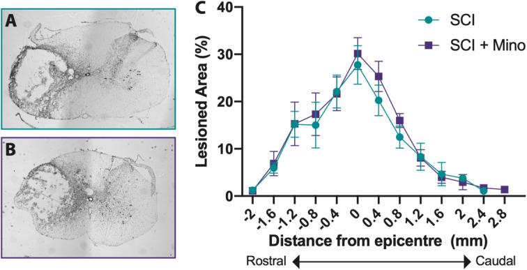 https://cdn.ncbi.nlm.nih.gov/pmc/blobs/380f/8234629/a3cb54f9d009/12974_2021_2123_Fig1_HTML.jpg