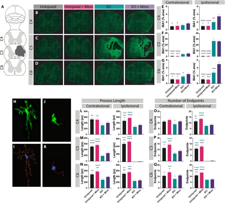 https://cdn.ncbi.nlm.nih.gov/pmc/blobs/380f/8234629/e4df2da0ba40/12974_2021_2123_Fig2_HTML.jpg