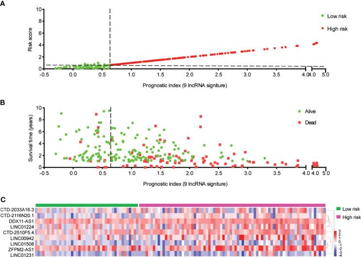 https://cdn.ncbi.nlm.nih.gov/pmc/blobs/380f/8484522/4a7572d5a887/fimmu-12-719175-g004.jpg