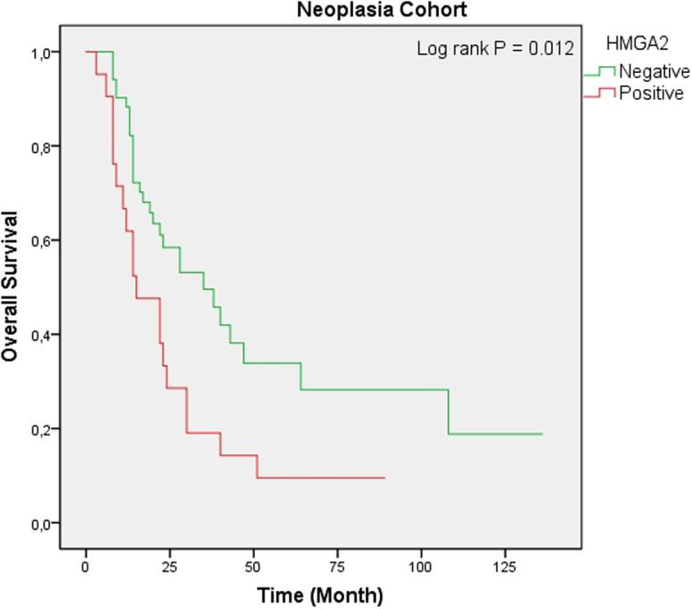 https://cdn.ncbi.nlm.nih.gov/pmc/blobs/3810/10645280/009bb4fa59be/tjg-34-10-1014_f006.jpg