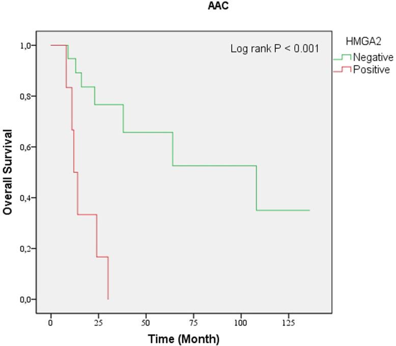 https://cdn.ncbi.nlm.nih.gov/pmc/blobs/3810/10645280/10ca44c9d89d/tjg-34-10-1014_f004.jpg