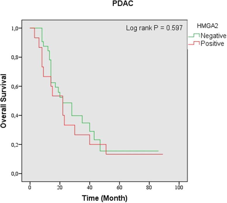 https://cdn.ncbi.nlm.nih.gov/pmc/blobs/3810/10645280/b88f2e45a5e8/tjg-34-10-1014_f005.jpg