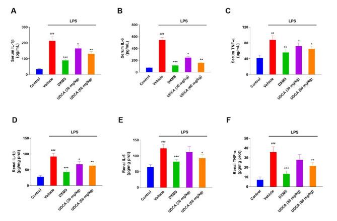 https://cdn.ncbi.nlm.nih.gov/pmc/blobs/3815/11780800/43c1954ae10d/12882_2025_3977_Fig5_HTML.jpg