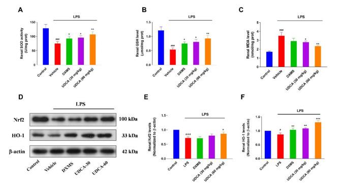 https://cdn.ncbi.nlm.nih.gov/pmc/blobs/3815/11780800/4cd11c66ad82/12882_2025_3977_Fig7_HTML.jpg