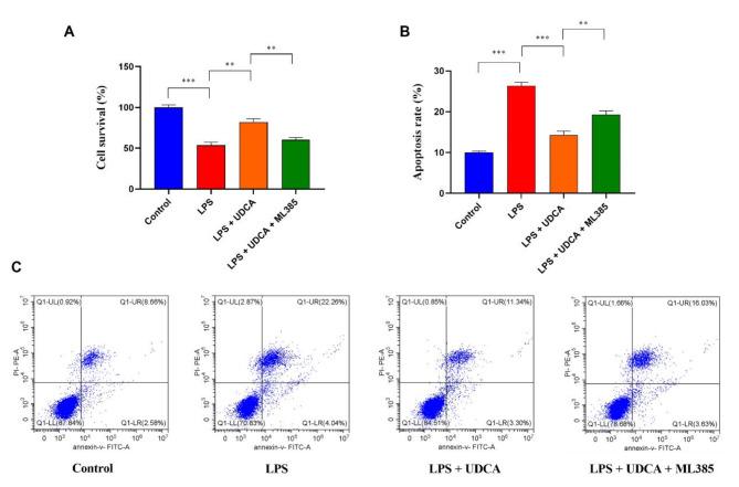 https://cdn.ncbi.nlm.nih.gov/pmc/blobs/3815/11780800/962ae1cd2e0a/12882_2025_3977_Fig8_HTML.jpg