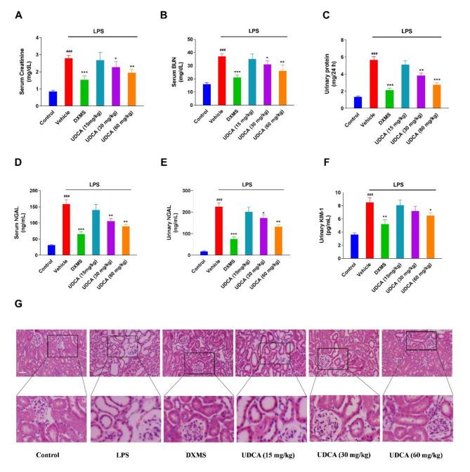https://cdn.ncbi.nlm.nih.gov/pmc/blobs/3815/11780800/e5a96c2fbed8/12882_2025_3977_Fig3_HTML.jpg