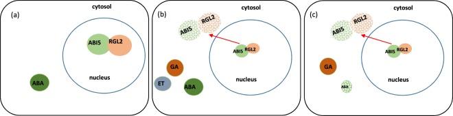 https://cdn.ncbi.nlm.nih.gov/pmc/blobs/3815/6424972/994b1ab8ee34/41598_2019_40494_Fig6_HTML.jpg