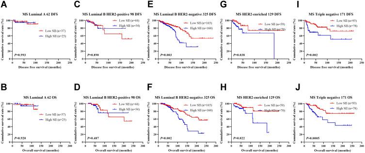 https://cdn.ncbi.nlm.nih.gov/pmc/blobs/3818/8887616/28ec95cd5935/CMAR-14-775-g0003.jpg