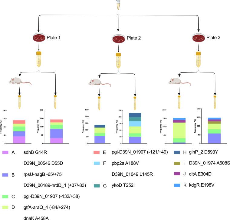 https://cdn.ncbi.nlm.nih.gov/pmc/blobs/3818/9927508/2d9391d35dcf/spectrum.03103-22-f005.jpg