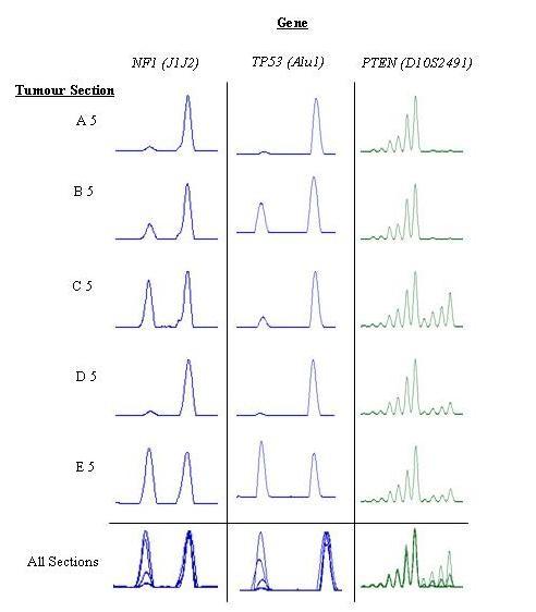 https://cdn.ncbi.nlm.nih.gov/pmc/blobs/381a/3500234/0157cac4c3fb/1479-7364-6-18-1.jpg