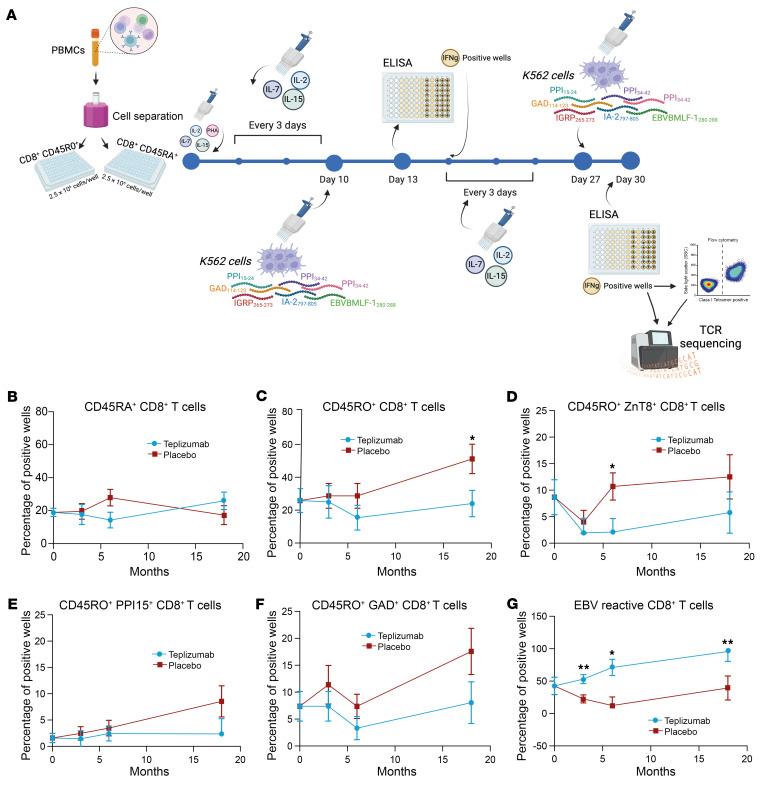 https://cdn.ncbi.nlm.nih.gov/pmc/blobs/381b/11405034/185a2b1f7666/jci-134-177492-g263.jpg