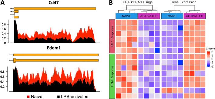 https://cdn.ncbi.nlm.nih.gov/pmc/blobs/381b/9912678/00af55936569/13059_2023_2865_Fig3_HTML.jpg