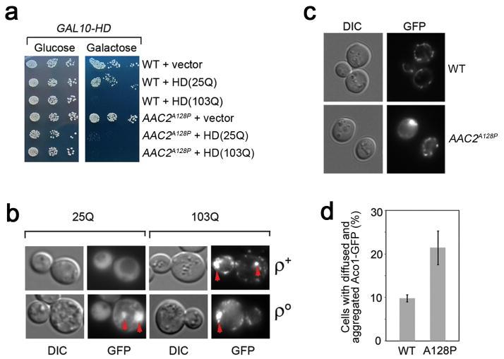 https://cdn.ncbi.nlm.nih.gov/pmc/blobs/381e/4582408/154135663a5d/nihms704157f6.jpg