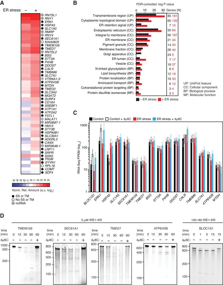 https://cdn.ncbi.nlm.nih.gov/pmc/blobs/3820/6336407/9cd48c89b025/elife-43036-fig2.jpg