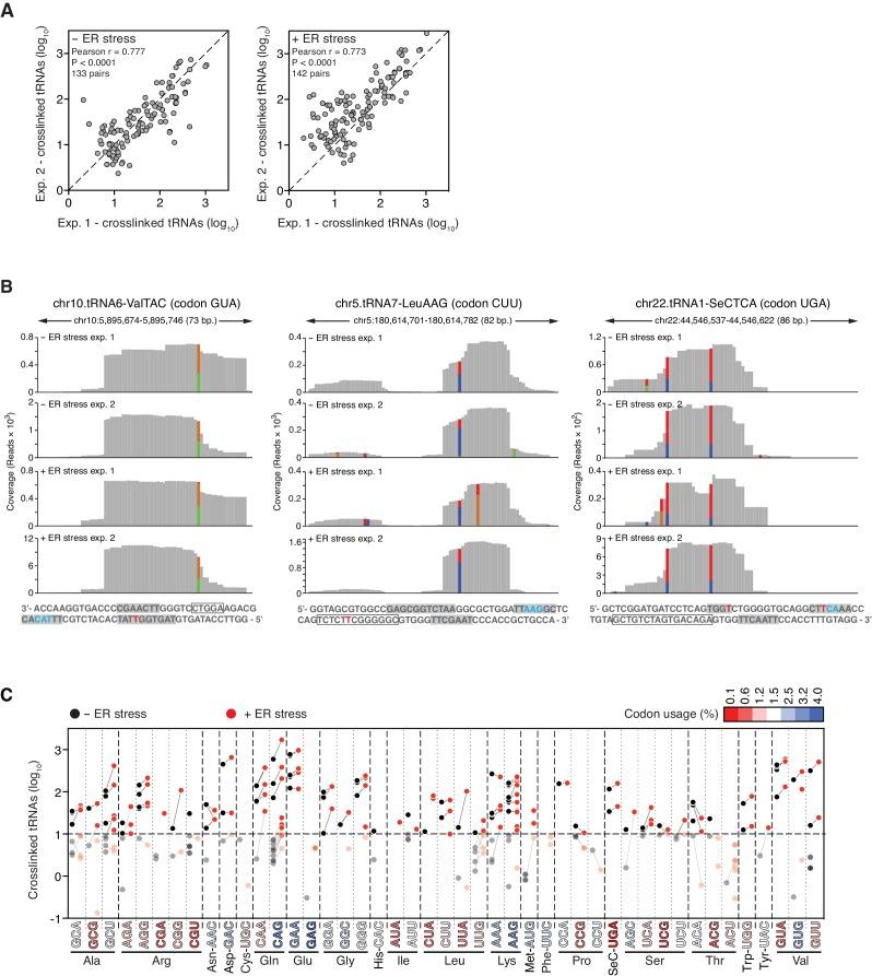 https://cdn.ncbi.nlm.nih.gov/pmc/blobs/3820/6336407/d1863ac4c53a/elife-43036-fig4-figsupp1.jpg