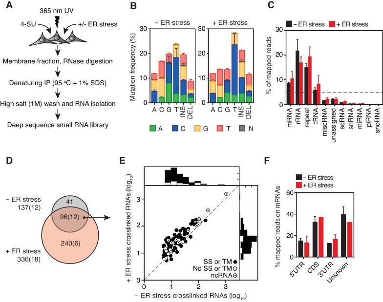 https://cdn.ncbi.nlm.nih.gov/pmc/blobs/3820/6336407/e517bd45e1bd/elife-43036-fig1.jpg