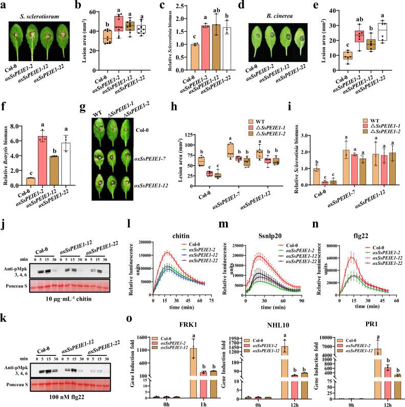 https://cdn.ncbi.nlm.nih.gov/pmc/blobs/3821/11525884/3262005d7208/41467_2024_53725_Fig2_HTML.jpg