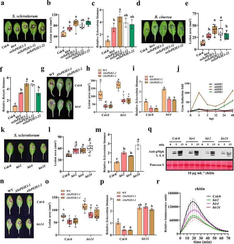 https://cdn.ncbi.nlm.nih.gov/pmc/blobs/3821/11525884/54c1f228c1e1/41467_2024_53725_Fig4_HTML.jpg