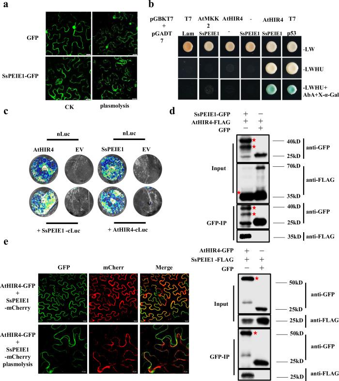 https://cdn.ncbi.nlm.nih.gov/pmc/blobs/3821/11525884/5a9d779185c8/41467_2024_53725_Fig3_HTML.jpg