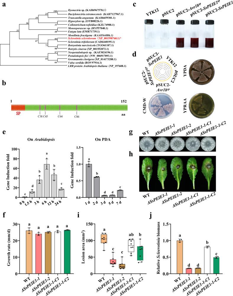 https://cdn.ncbi.nlm.nih.gov/pmc/blobs/3821/11525884/a247cf0b3676/41467_2024_53725_Fig1_HTML.jpg