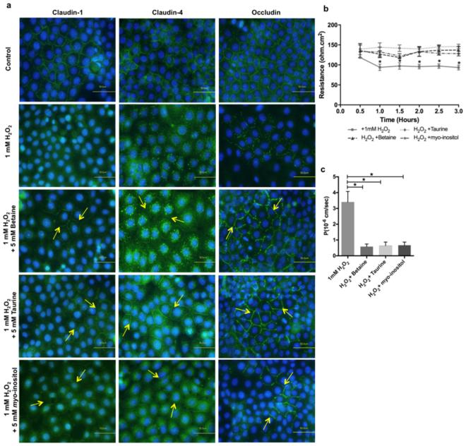 https://cdn.ncbi.nlm.nih.gov/pmc/blobs/3821/5979960/cb10958ad987/41598_2018_22533_Fig6_HTML.jpg