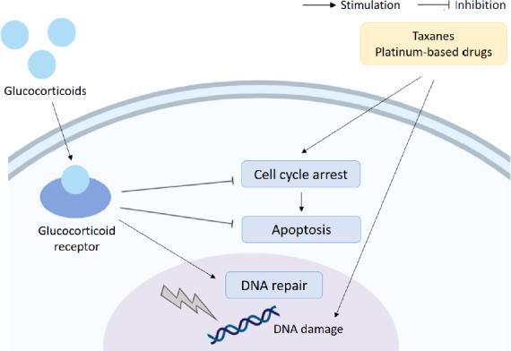 https://cdn.ncbi.nlm.nih.gov/pmc/blobs/3821/8992509/7fd20e9e034f/cdr-2-773.fig.3.jpg