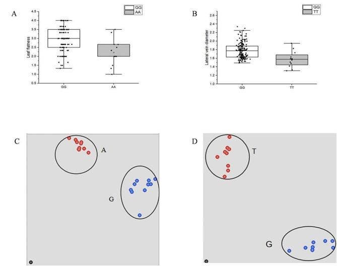 https://cdn.ncbi.nlm.nih.gov/pmc/blobs/3822/11188574/770a86713c47/12870_2024_5261_Fig7_HTML.jpg