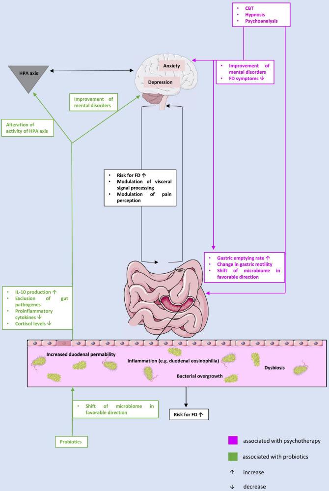 https://cdn.ncbi.nlm.nih.gov/pmc/blobs/3823/8919856/364288d43f48/fnins-16-844564-g001.jpg