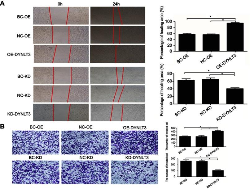 https://cdn.ncbi.nlm.nih.gov/pmc/blobs/3824/6612992/b1473fd7b440/CMAR-11-5925-g0005.jpg