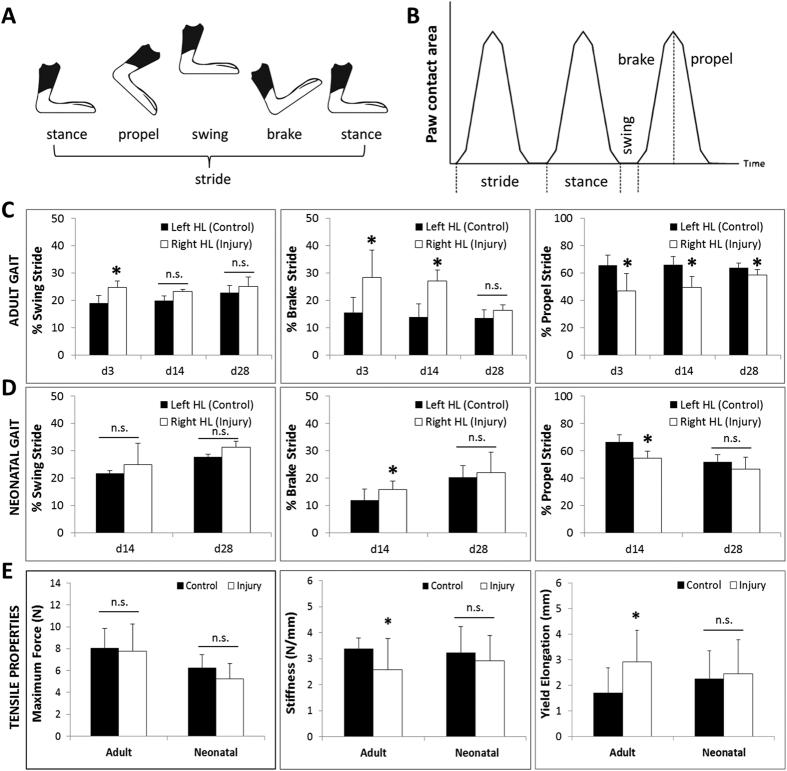 https://cdn.ncbi.nlm.nih.gov/pmc/blobs/3825/5362908/7ad0d4dac9cc/srep45238-f3.jpg
