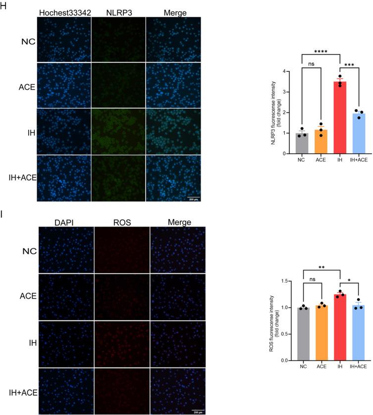 https://cdn.ncbi.nlm.nih.gov/pmc/blobs/3826/12067661/4092b2effc27/JIR-18-5931-g0007.jpg