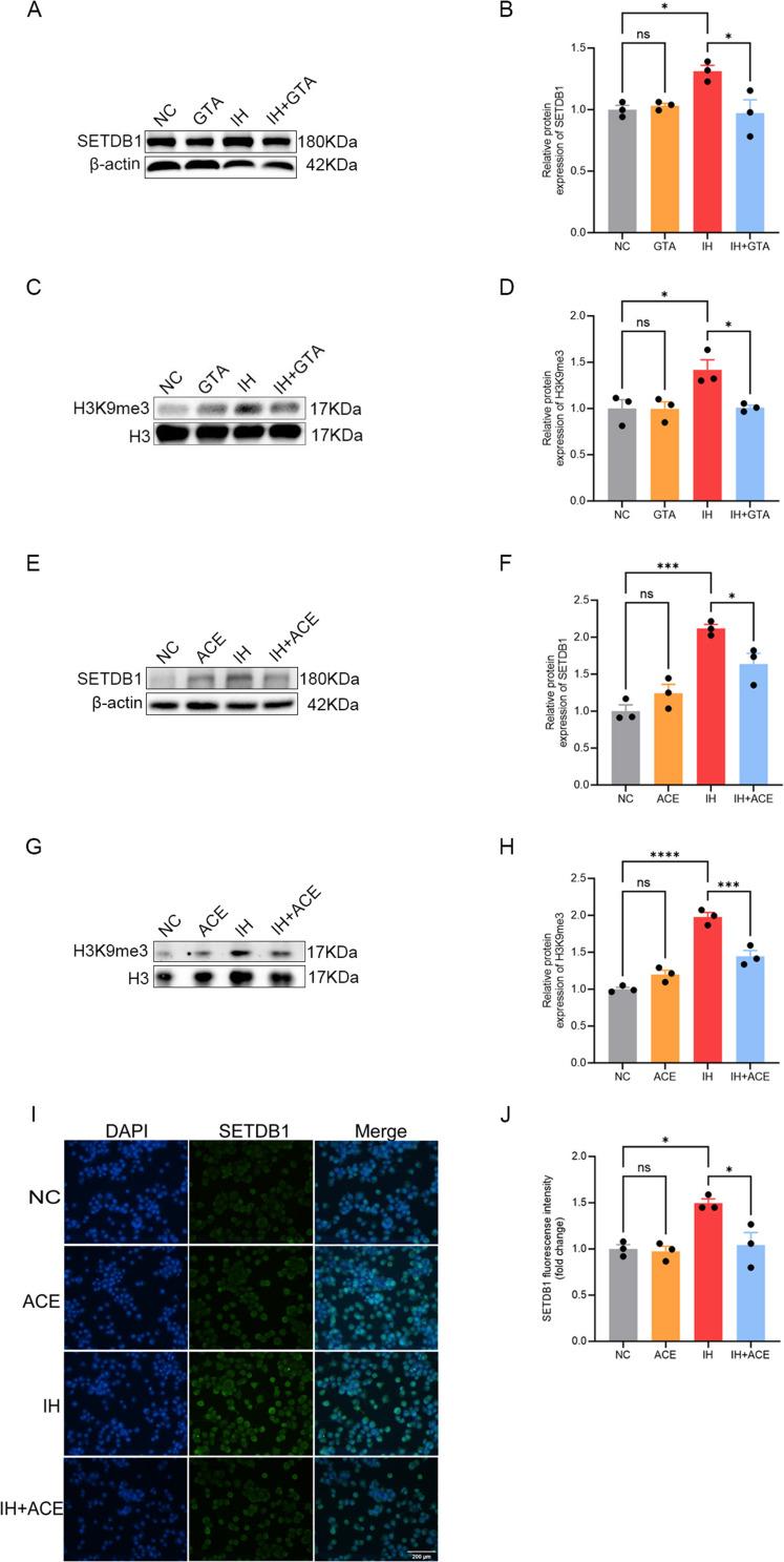 https://cdn.ncbi.nlm.nih.gov/pmc/blobs/3826/12067661/507b1f4935a2/JIR-18-5931-g0003.jpg