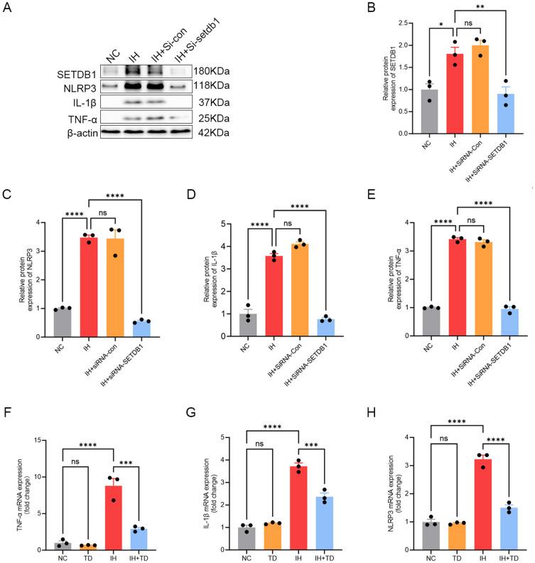 https://cdn.ncbi.nlm.nih.gov/pmc/blobs/3826/12067661/6af4fce60614/JIR-18-5931-g0004.jpg