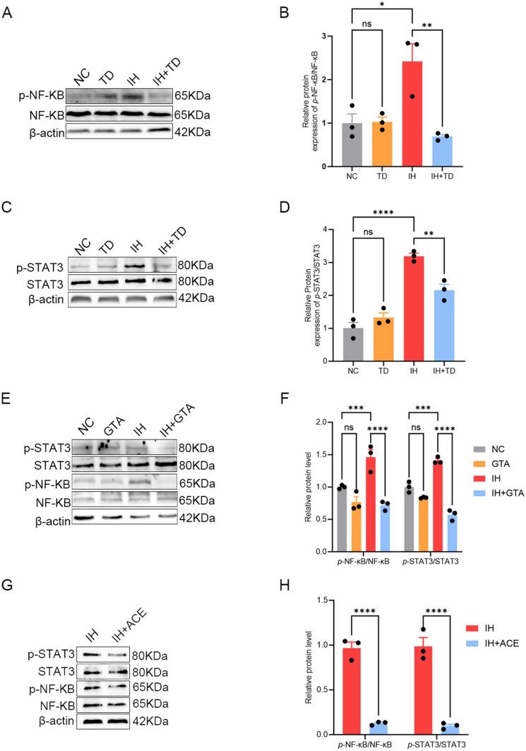 https://cdn.ncbi.nlm.nih.gov/pmc/blobs/3826/12067661/c6cc2ff6588e/JIR-18-5931-g0008.jpg