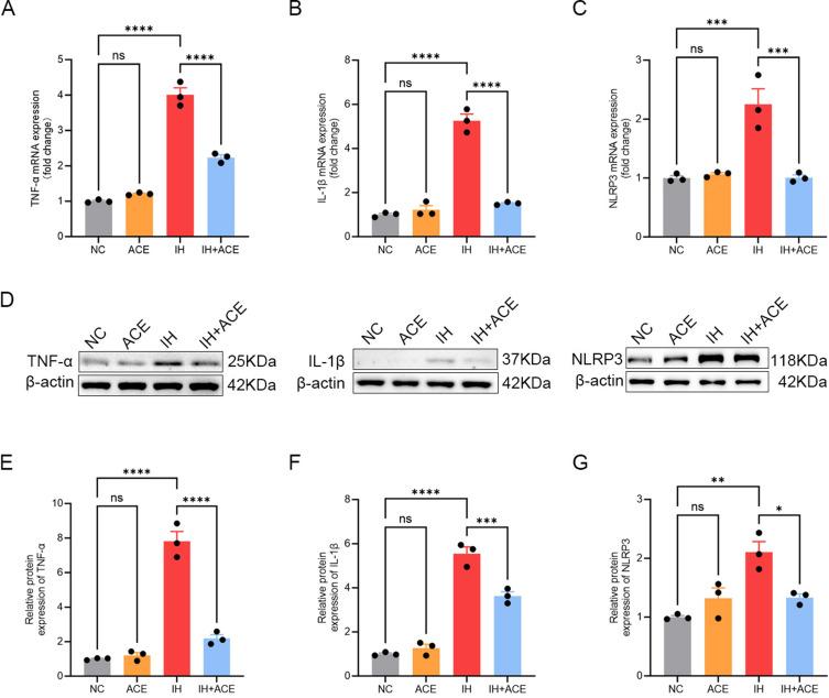 https://cdn.ncbi.nlm.nih.gov/pmc/blobs/3826/12067661/fce6ea22c1f2/JIR-18-5931-g0006.jpg