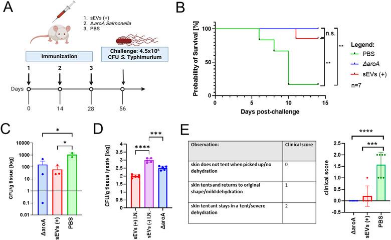 https://cdn.ncbi.nlm.nih.gov/pmc/blobs/3826/9494607/40aa61f22fbd/JEV2-11-e12267-g002.jpg
