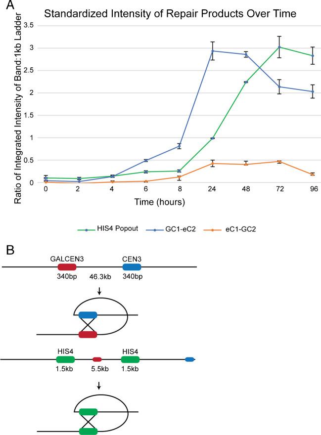 https://cdn.ncbi.nlm.nih.gov/pmc/blobs/3827/11180013/719611c12e0f/412_2023_814_Fig5_HTML.jpg