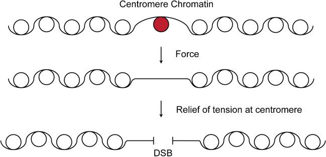 https://cdn.ncbi.nlm.nih.gov/pmc/blobs/3827/11180013/a920b8fe9983/412_2023_814_Fig10_HTML.jpg