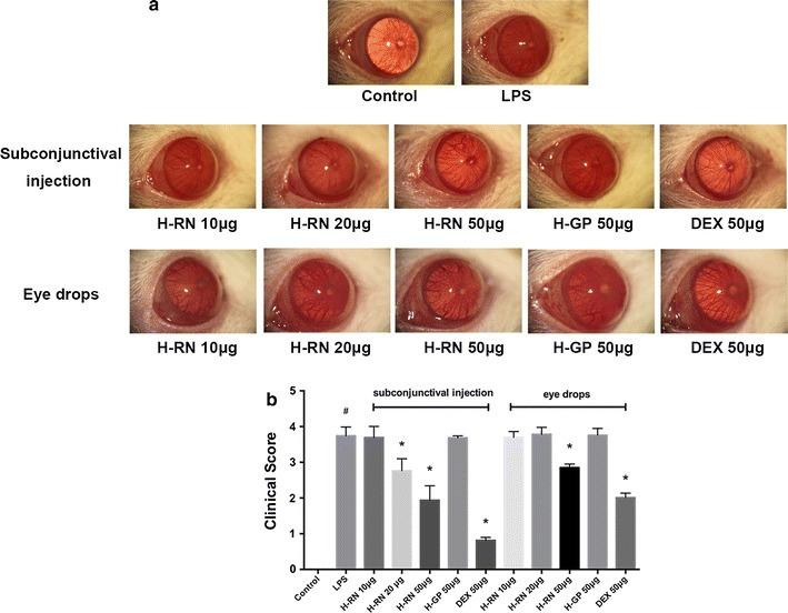 https://cdn.ncbi.nlm.nih.gov/pmc/blobs/3827/5270222/5918c5615c4a/12967_2017_1121_Fig3_HTML.jpg