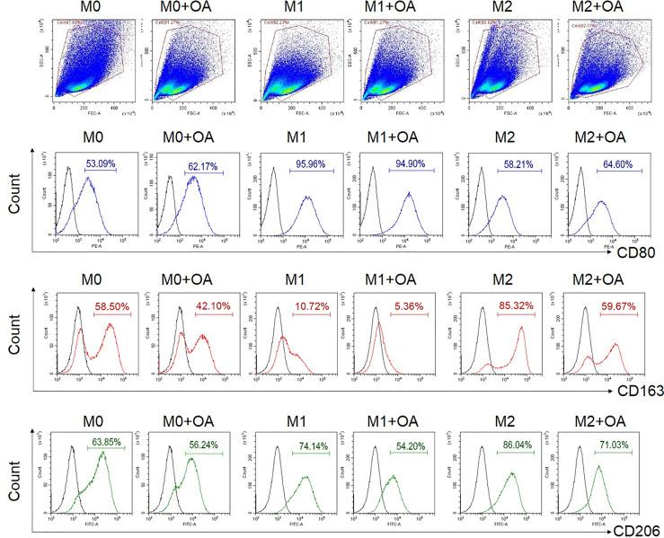 https://cdn.ncbi.nlm.nih.gov/pmc/blobs/3828/9062104/bb35b3699695/fimmu-13-856296-g002.jpg