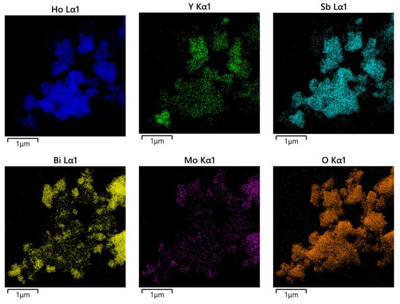 https://cdn.ncbi.nlm.nih.gov/pmc/blobs/3829/11050021/3846ec46439b/ijms-25-04418-g008.jpg