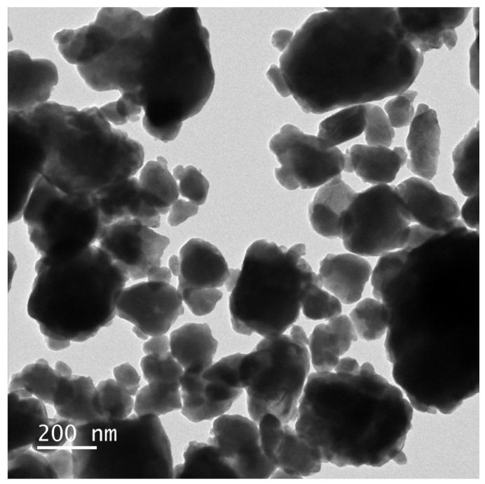 https://cdn.ncbi.nlm.nih.gov/pmc/blobs/3829/11050021/466c38d416fd/ijms-25-04418-g007.jpg