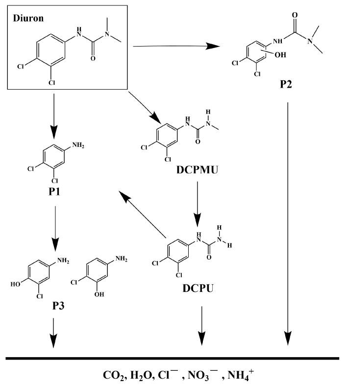 https://cdn.ncbi.nlm.nih.gov/pmc/blobs/3829/11050021/d06a0d3f9f97/ijms-25-04418-g016.jpg