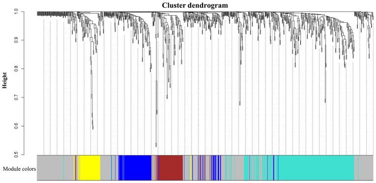 https://cdn.ncbi.nlm.nih.gov/pmc/blobs/382a/6691232/1e5a36adc68e/MMR-20-03-2245-g04.jpg