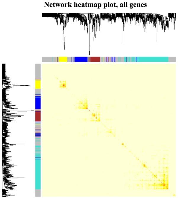 https://cdn.ncbi.nlm.nih.gov/pmc/blobs/382a/6691232/45c682f240a6/MMR-20-03-2245-g05.jpg