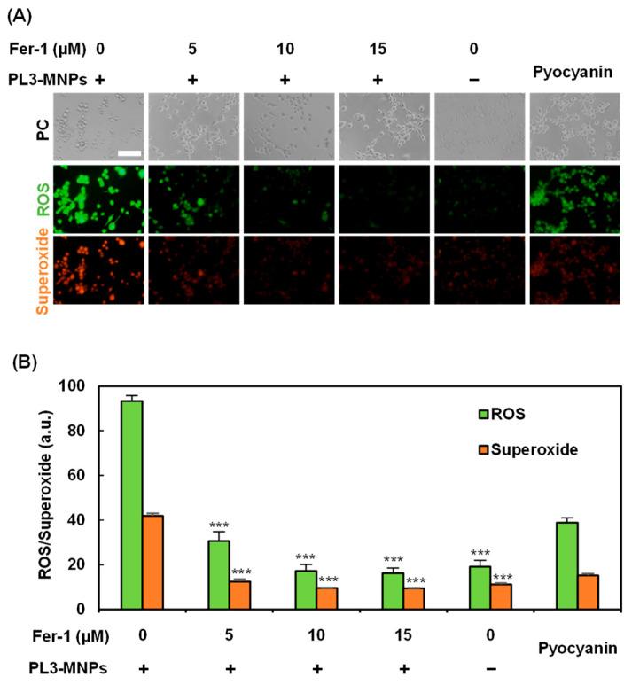 https://cdn.ncbi.nlm.nih.gov/pmc/blobs/382d/11174109/17f8b9ef0be4/molecules-29-02632-g006.jpg